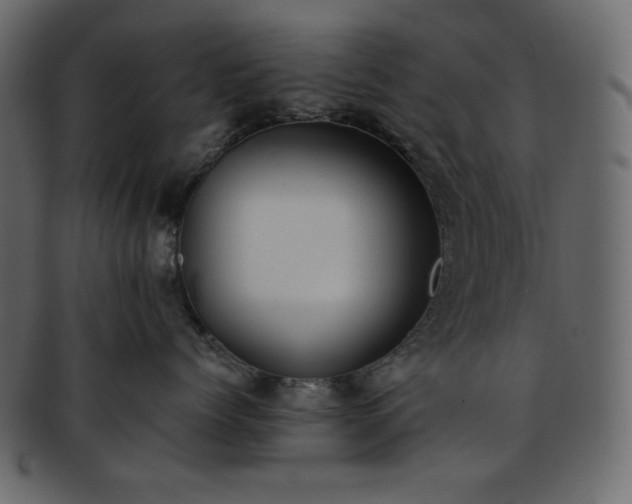 X0000093380768200710191134