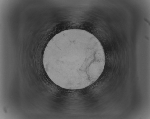 X0000093380769200710191134