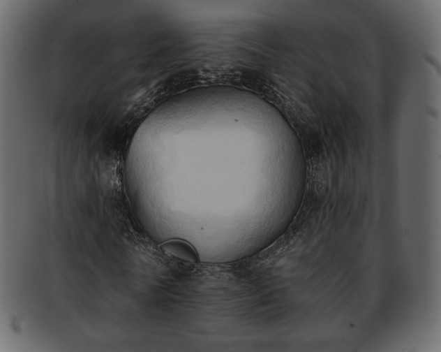 X0000093380770200710191134