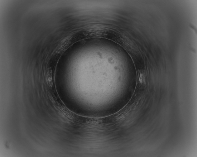 X0000093380771200710191134