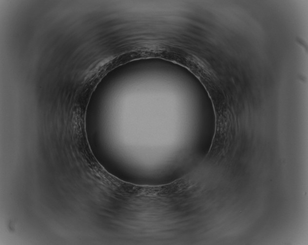 X0000093380773200710191134