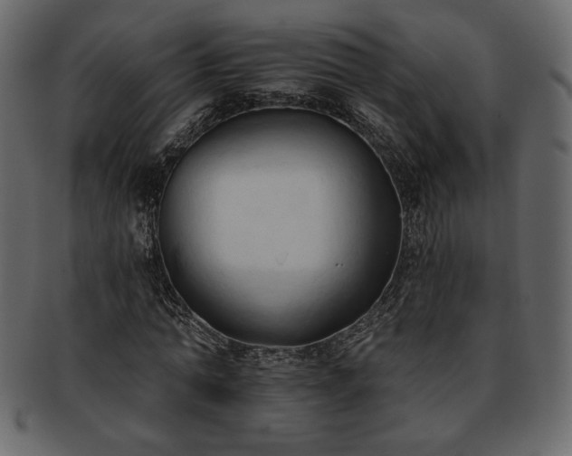 X0000093380774200710191134