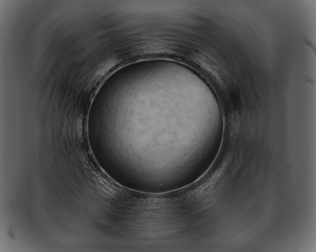 X0000093380777200710191134