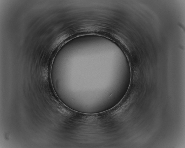 X0000093380778200710191134