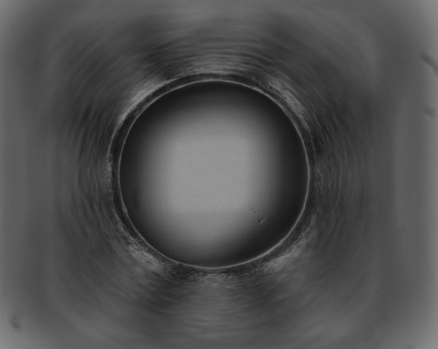 X0000093380779200710191134