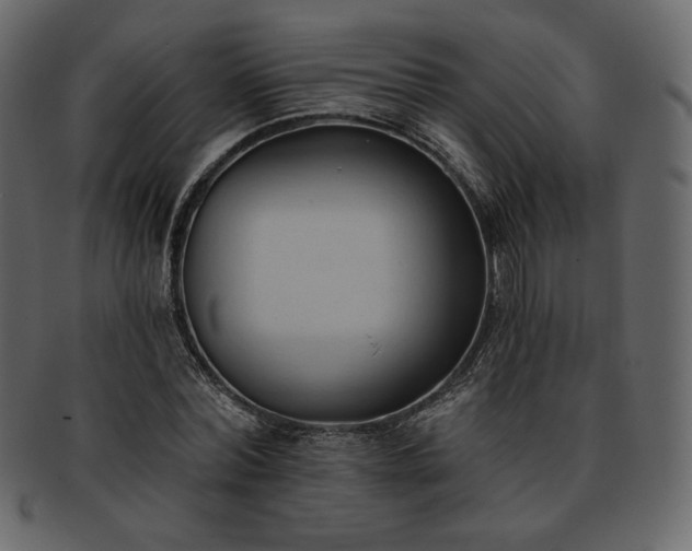 X0000093380780200710191134