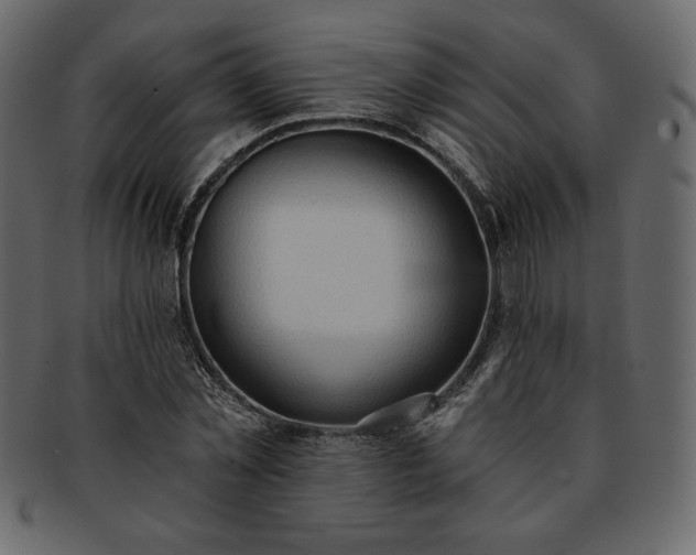 X0000093380781200710191134