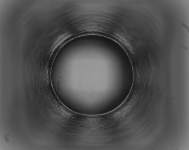 X0000093380782200710191134