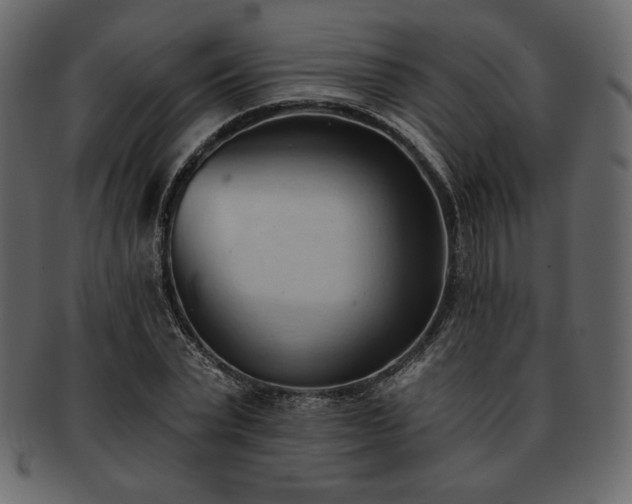 X0000093380783200710191134