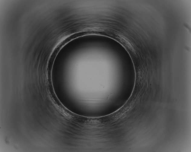 X0000093380784200710191134