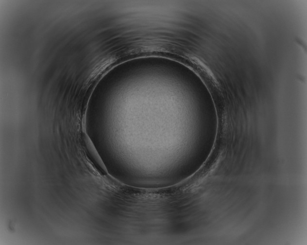 X0000093380785200710191134