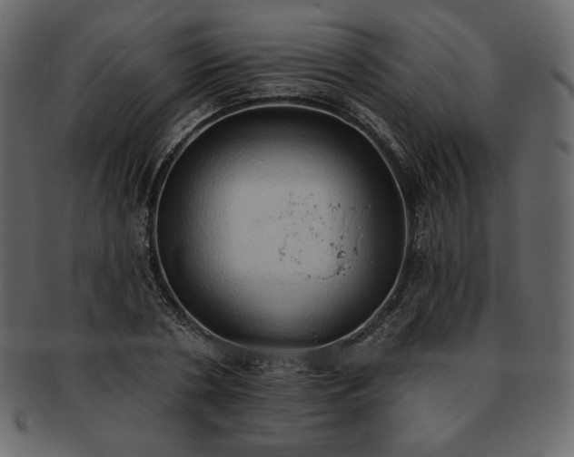 X0000093380786200710191134