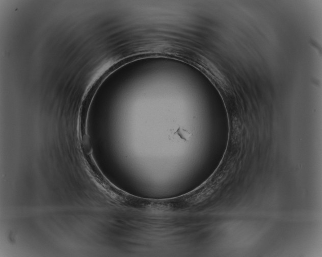 X0000093380788200710191134