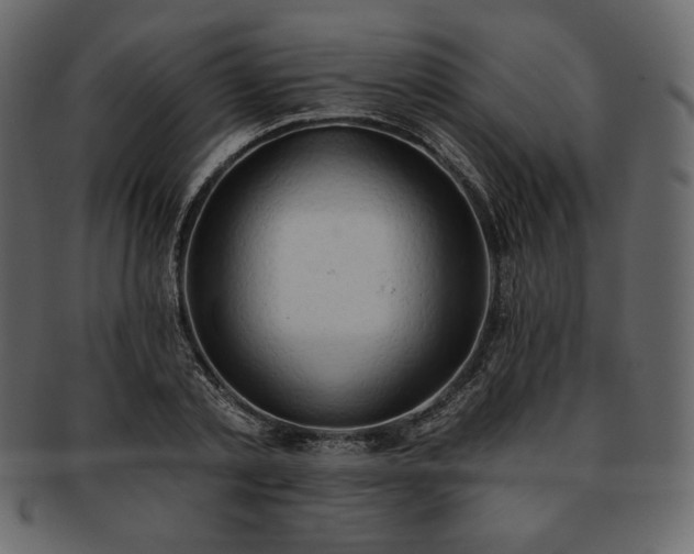 X0000093380789200710191134