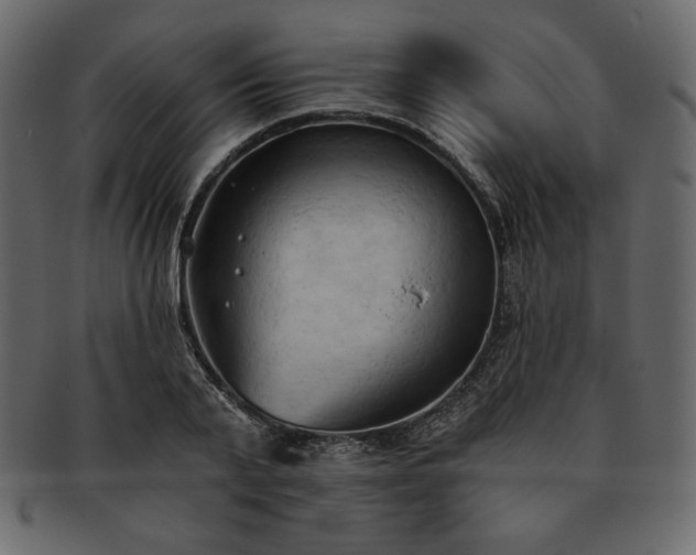 X0000093380791200710191134