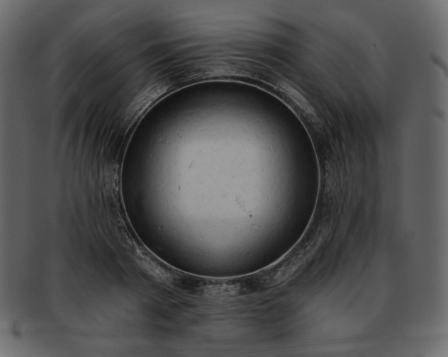 X0000093380793200710191134