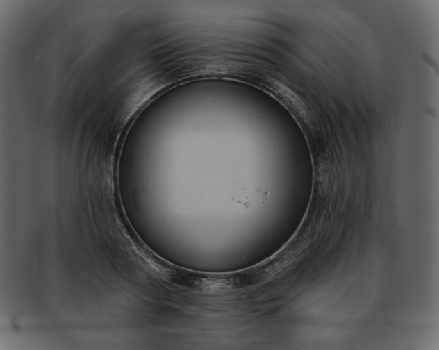 X0000093380794200710191134