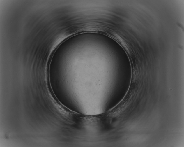 X0000093380795200710191134