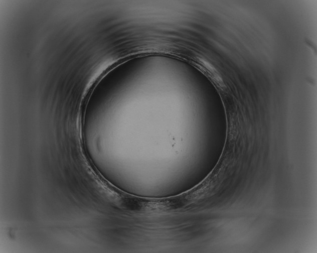 X0000093380796200710191134