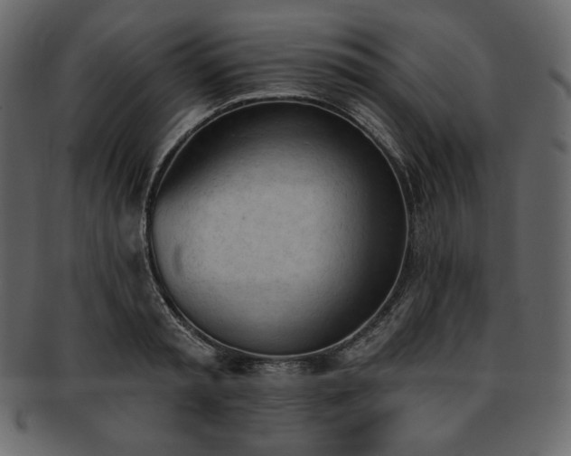 X0000093380797200710191134