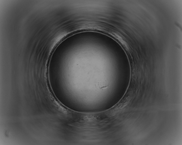 X0000093380799200710191134