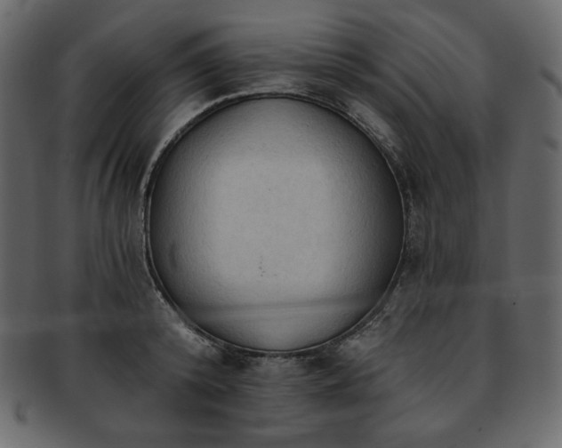 X0000093380800200710191134