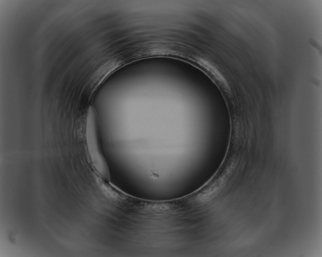 X0000093380801200710191134