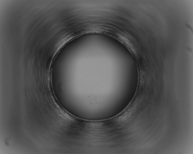 X0000093380802200710191134