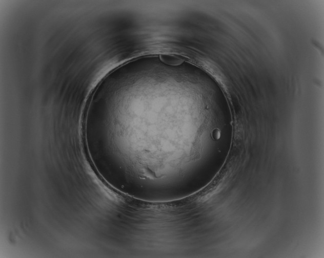 X0000093380803200710191133