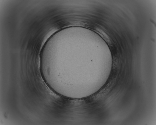 X0000093380804200710191133