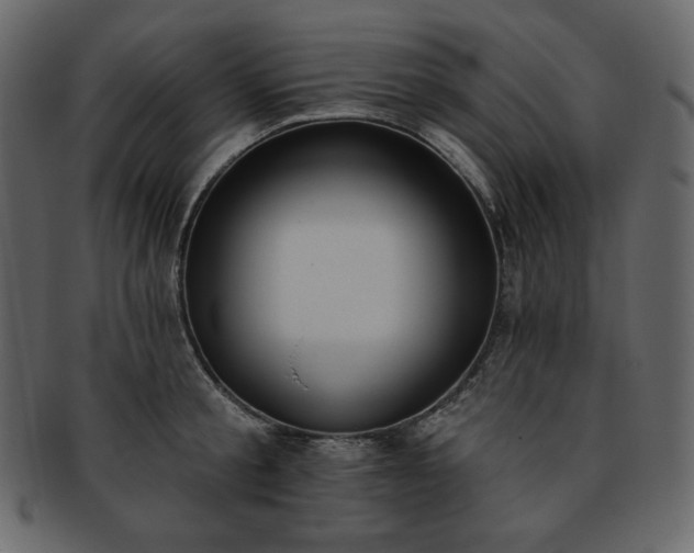 X0000093380805200710191133