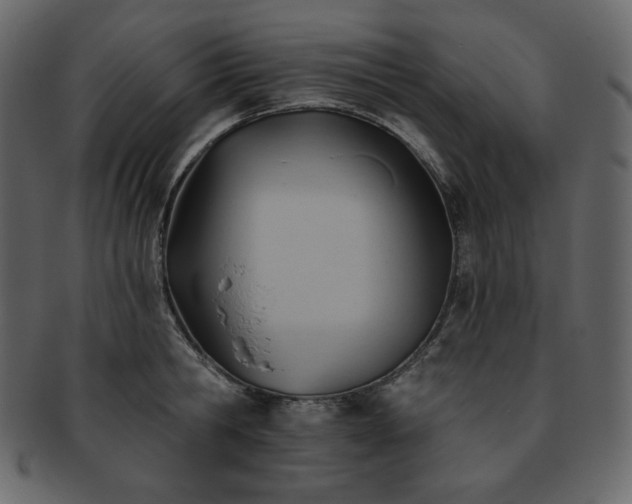 X0000093380806200710191133