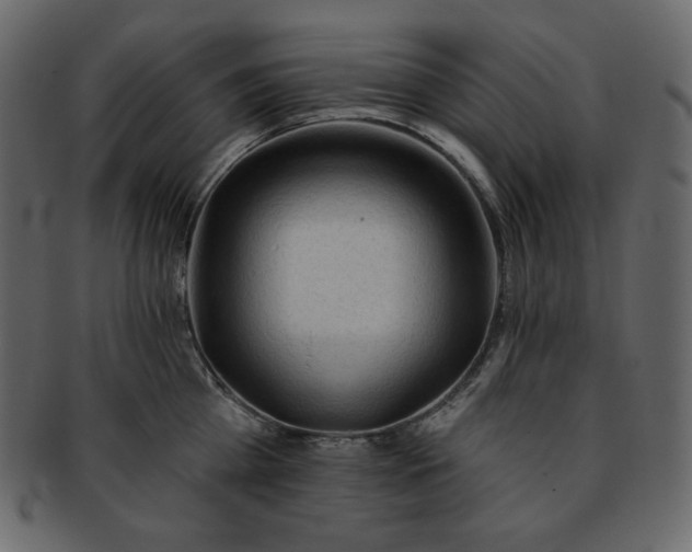 X0000093380809200710191133