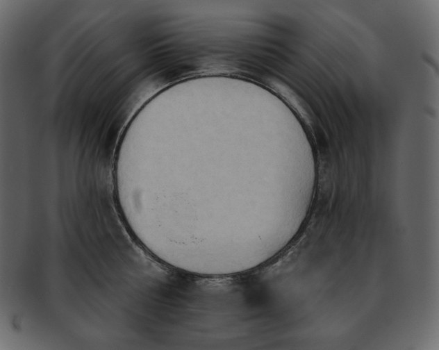 X0000093380810200710191133