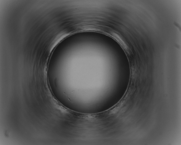 X0000093380814200710191133