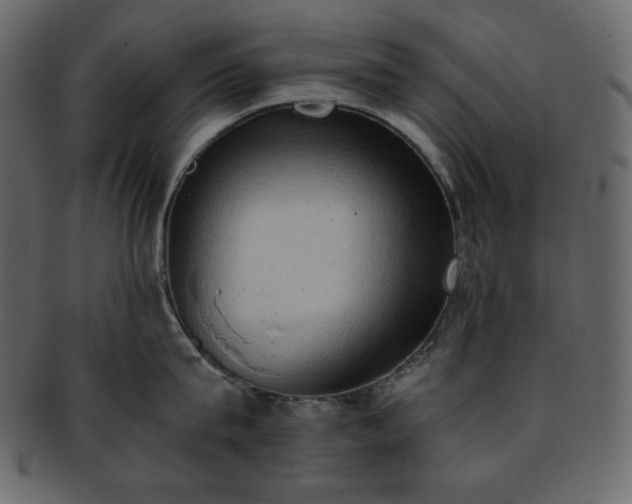 X0000093380815200710191133