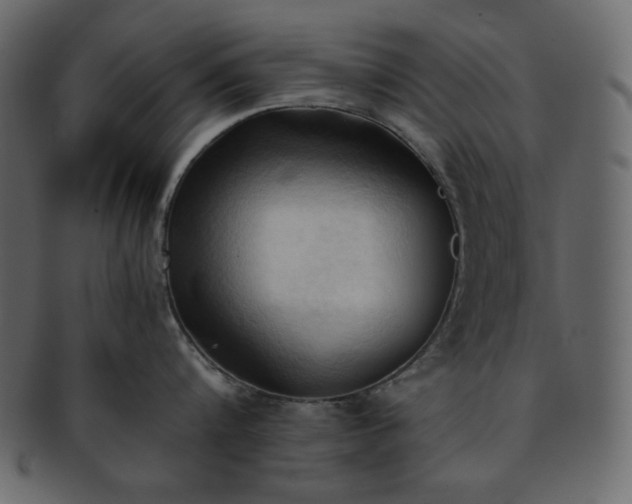 X0000093380816200710191133