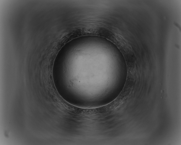 X0000093380817200710191133