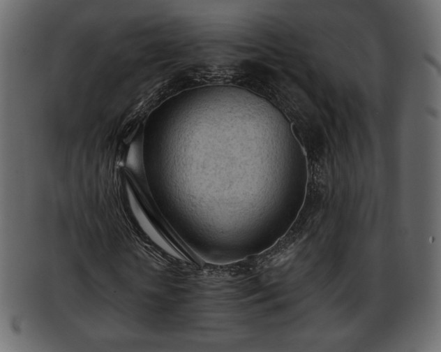 X0000093380818200710191133