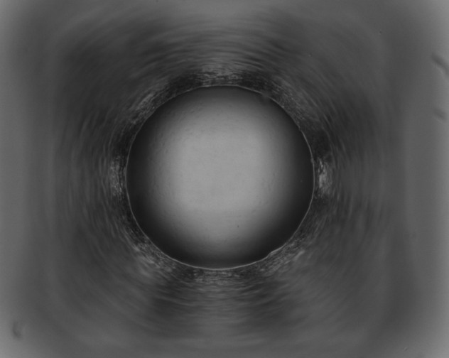 X0000093380819200710191133