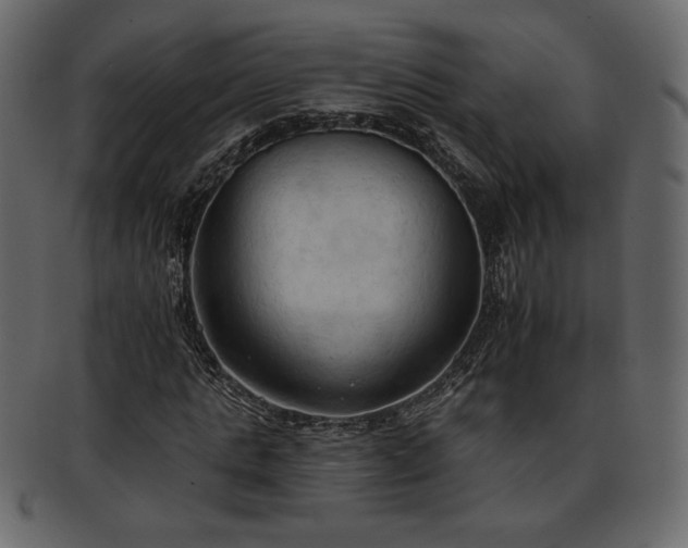 X0000093380821200710191133