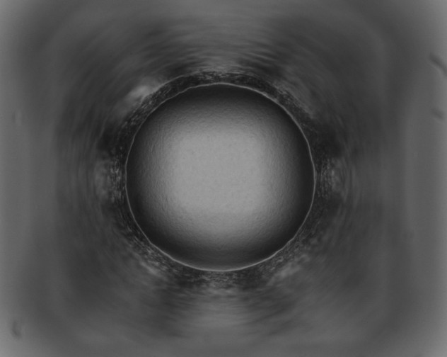 X0000093380822200710191133