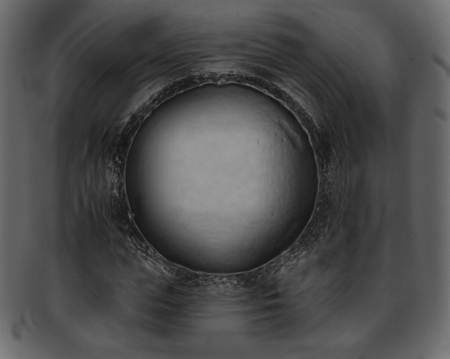 X0000093380823200710191133