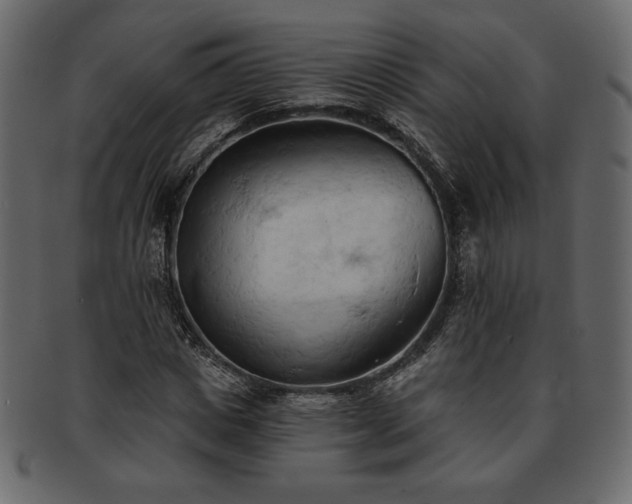 X0000093380825200710191133