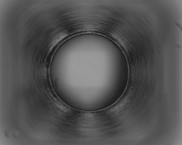 X0000093380827200710191133