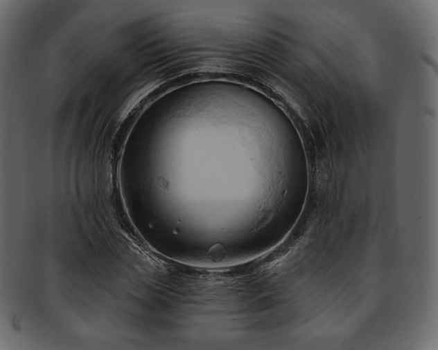 X0000093380829200710191133