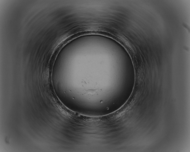 X0000093380831200710191133