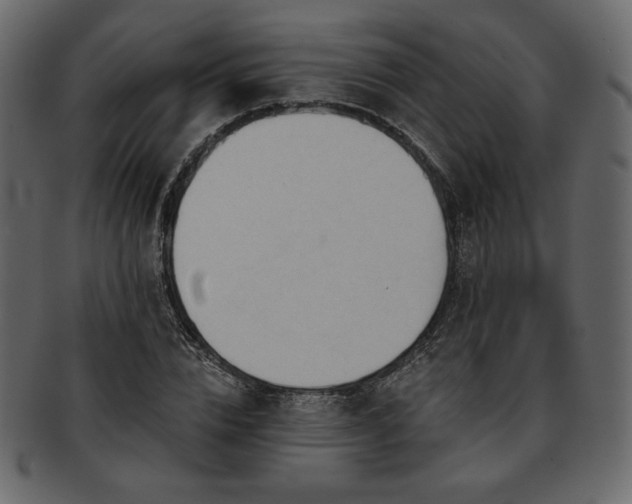 X0000093380832200710191133