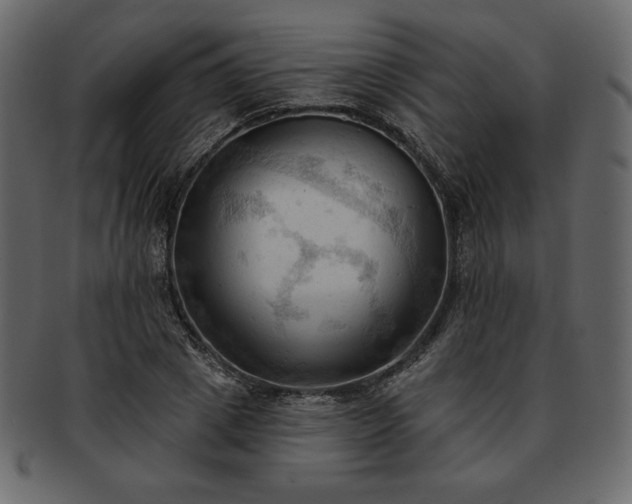 X0000093380833200710191133