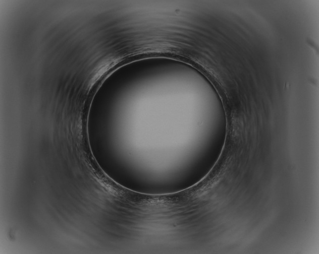 X0000093380834200710191133